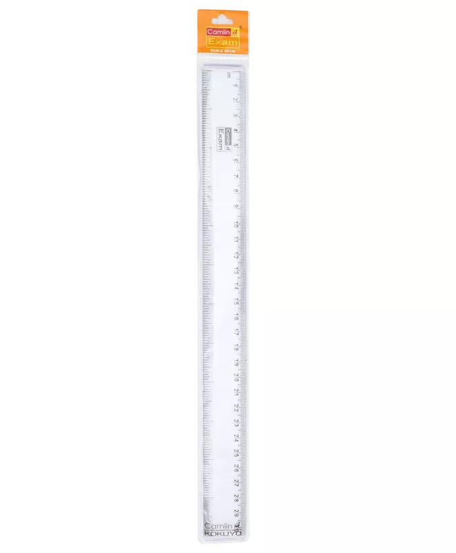 Camline Scale