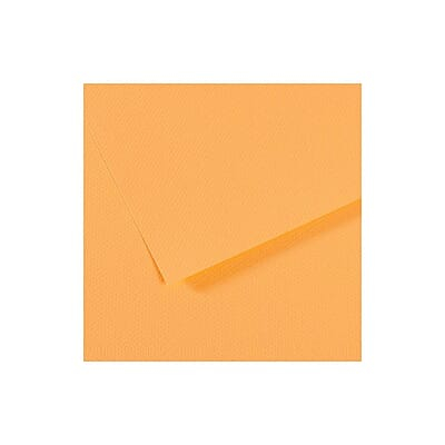 CANSON MI-TEINTES PAPER 470-CHAMPAGNE PK OF 10