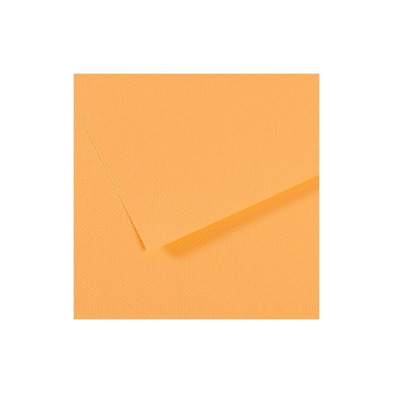 CANSON MI-TEINTES PAPER 470-CHAMPAGNE PK OF 10 CANSON MI-TEINTES PAPER 470-CHAMPAGNE PK OF 10