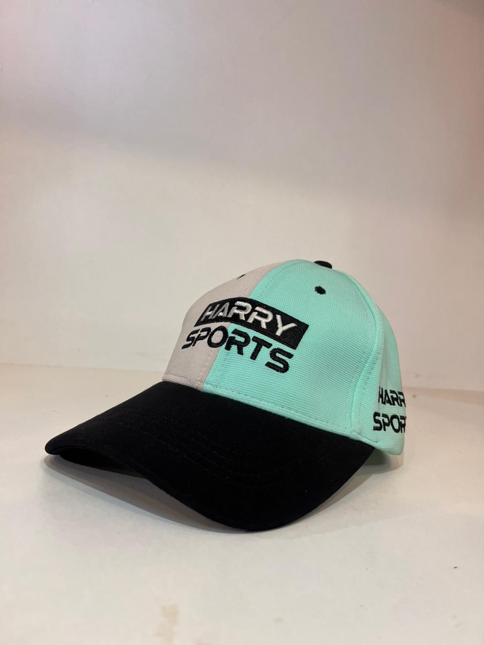 Mens Sports Cap (Blue)