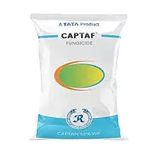 CAPTAF FUNGICIDE-(Rallis Crop Protection)