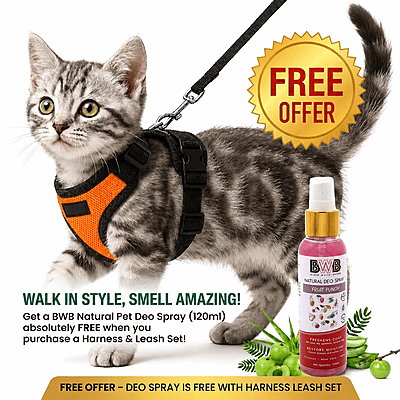 Cat NO-PULL with Leash Harness (Mesh)-Orange-XXS
