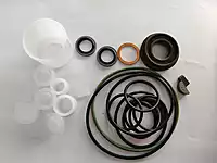 BOSCH - PARTS SET - SUITABLE FOR ALL DIESEL VEHICLE FIPS | F019D01025
