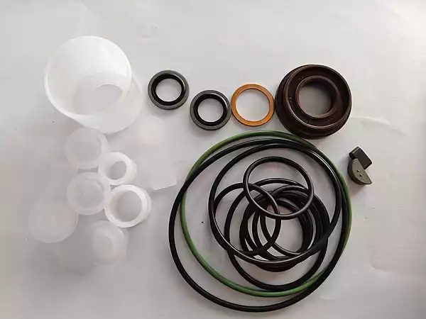 BOSCH - PARTS SET - SUITABLE FOR ALL DIESEL VEHICLE FIPS | F019D01025