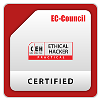Certified Ethical Hacker (CEH) Practical