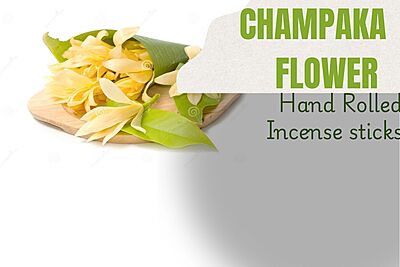 ஊதுபத்தி (Incense sticks)-செண்பகப் பூ