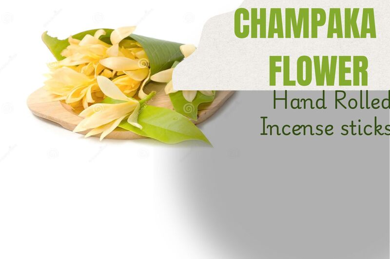 ஊதுபத்தி (Incense sticks)-செண்பகப் பூ