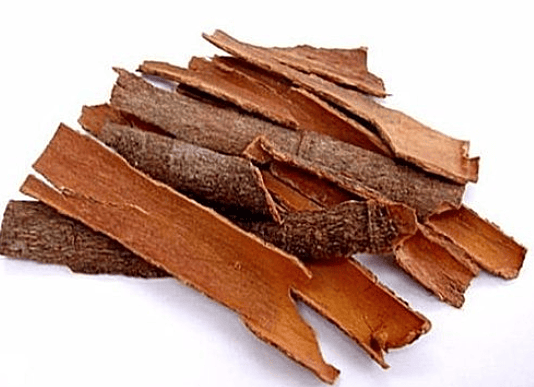 Cinnamon Cassia