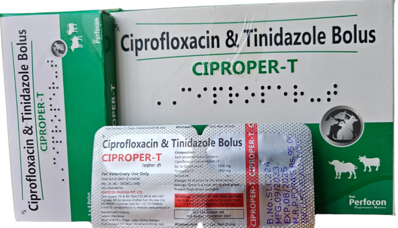 CIPROFLOXACIN & TINIDAZOLE BOLUS 4s