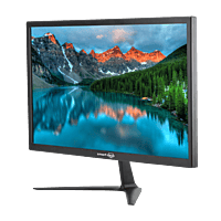 22-Inch LED Monitor