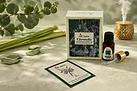 Citronella Essential Oil - 10ml