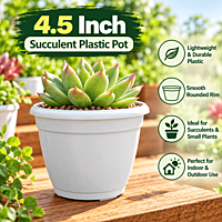 4.5 Inch Succulent Plastic Pot | ECSHA