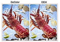 Gocolor Epson Compatible Inkjet Ink 500 ml 6C ( BK+C+K+Y+LC+LM) Gocolor Epson Compatible Inkjet Ink 500 ml 6C ( BK+C+K+Y+LC+LM)