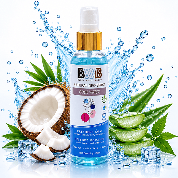 BWB COOLWATER_DEOSPRAY BWB COOLWATER_DEOSPRAY