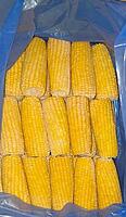 Frozen Corn on Cob 14cm in Box of 40 Pcs