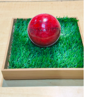 CRICKET BALL RICO