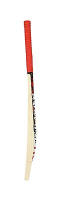 CRICKET BAT VICKY I LEGEND PRO