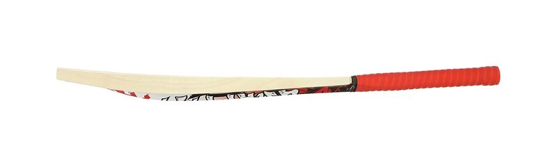 CRICKET BAT VICKY I LEGEND PRO