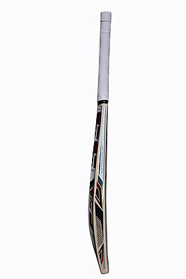 CRICKET BAT SS MASTER 100 KW