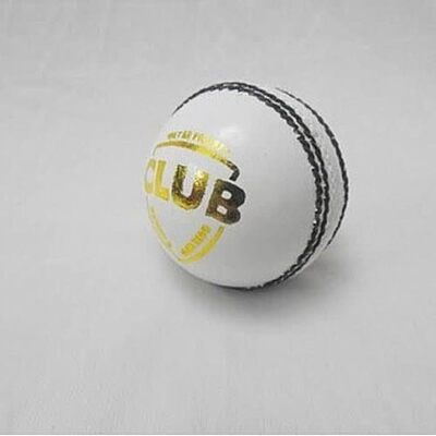 SEASON BALL SISCAA CLUB WHITE