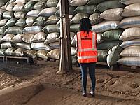 Collateral Management & Stock Audit Services