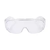 3M 1611 | Visitor Spectacles | Pack of 10