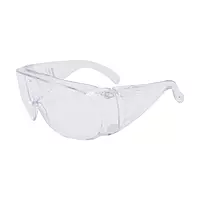 3M 1611 | Visitor Spectacles | Pack of 10