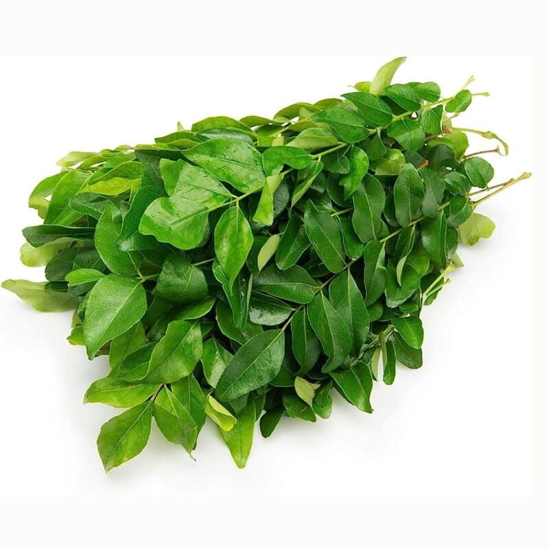 CURRY LEAVES  -50Gms