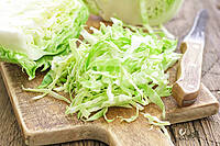 Fresh Cabbage