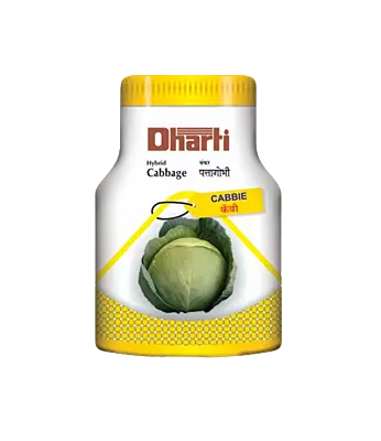 Hybrid Cabbage Cabbie by Dharti Seeds
