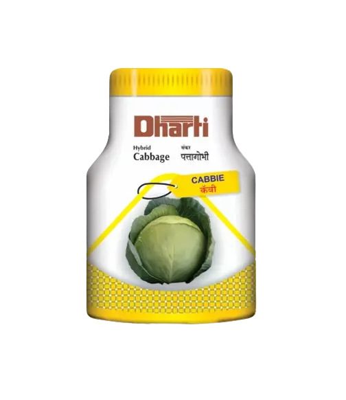 Hybrid Cabbage Cabbie by Dharti Seeds