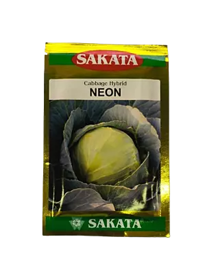 Hybrid Cabbage Neon by Sakata Seeds