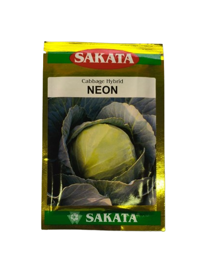 Hybrid Cabbage Neon by Sakata Seeds