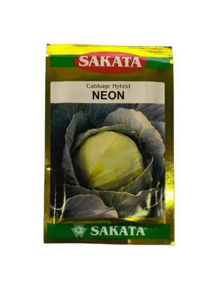 Hybrid Cabbage Neon by Sakata Seeds