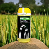Cabrio Top Fungicide by BASF