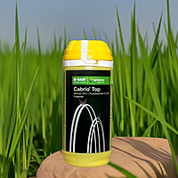 Cabrio Top Fungicide by BASF