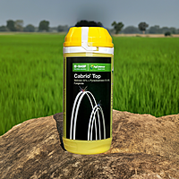 Cabrio Top Fungicide by BASF