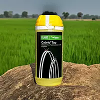Cabrio Top Fungicide by BASF