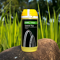 Cabrio Top Fungicide by BASF