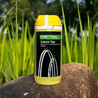 Cabrio Top Fungicide by BASF