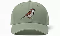 Bring Back Our Sparrows