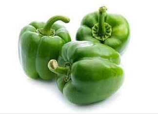 Capsicum
