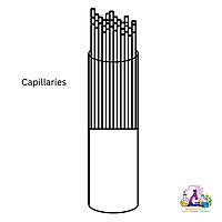Graduated Micro Capillary Pipettes