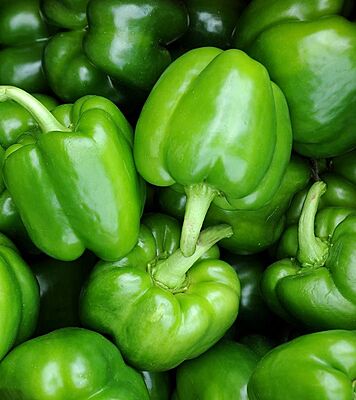 Capsicum కాప్సికం