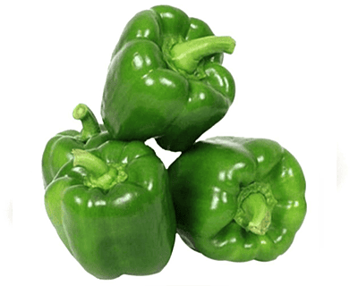 Capsicum Capsicum