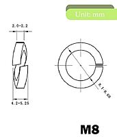 M8 Spring Lock Washer SS- 1 qty