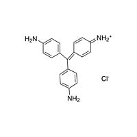 Carbol Fuchsin Dilute Staining Solution 500 ml CAS #56?23?5