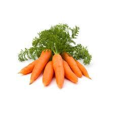 Carrot (Ooty)