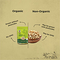 Organic Goan Cashew Whole