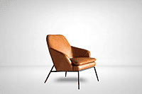 Opulent Lounge Chair